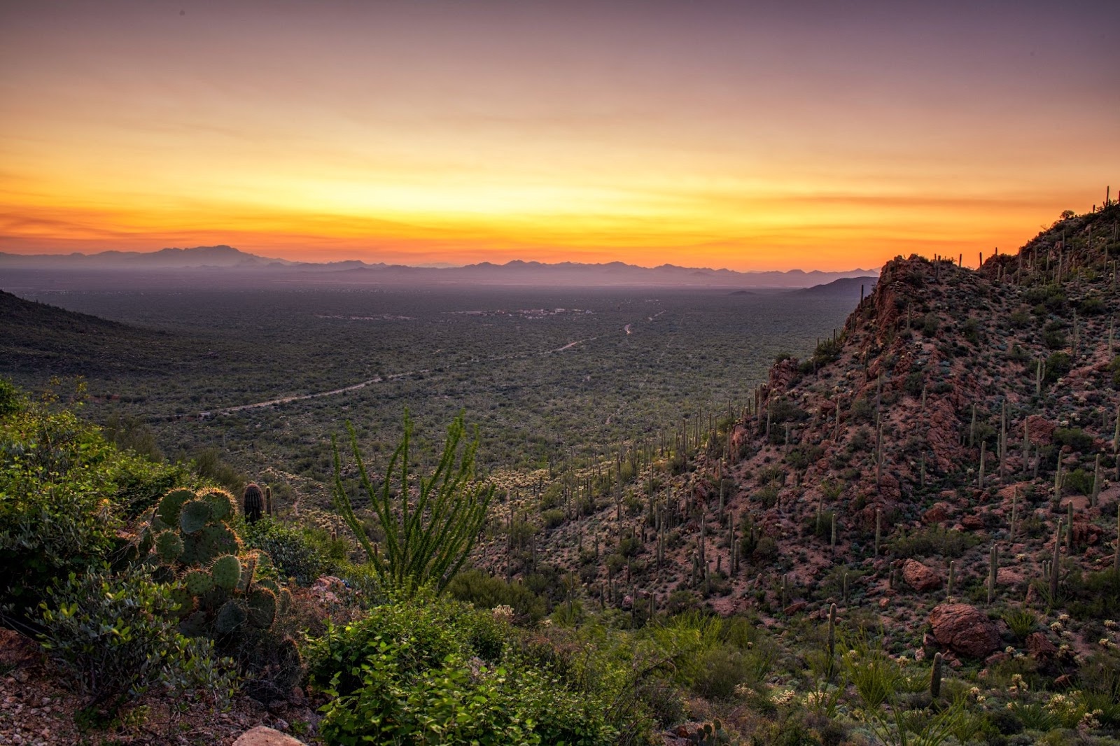 Colorful desert vista overlooking downtown Tucson at sunset.